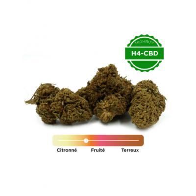 Acheter Boisson énergisante au cannabis Haze
